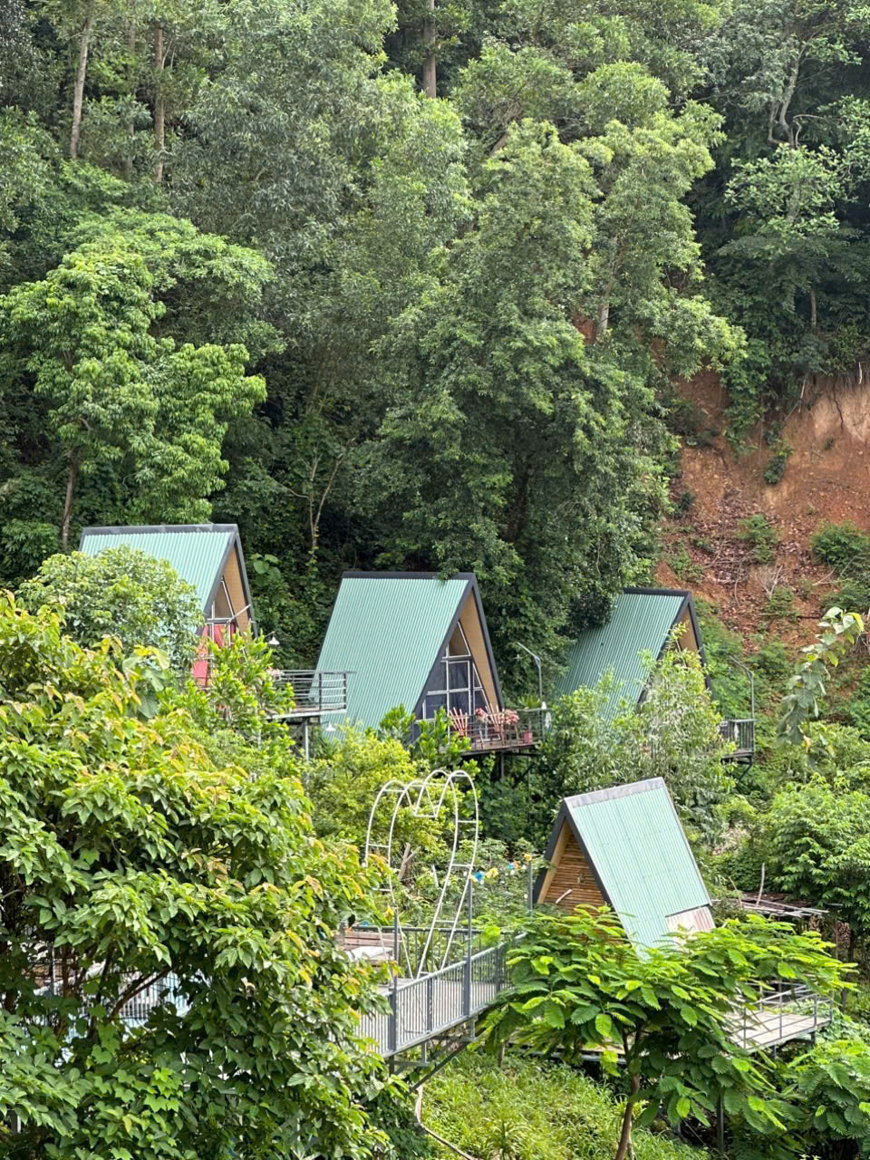 Hoàng hôn trên đồi